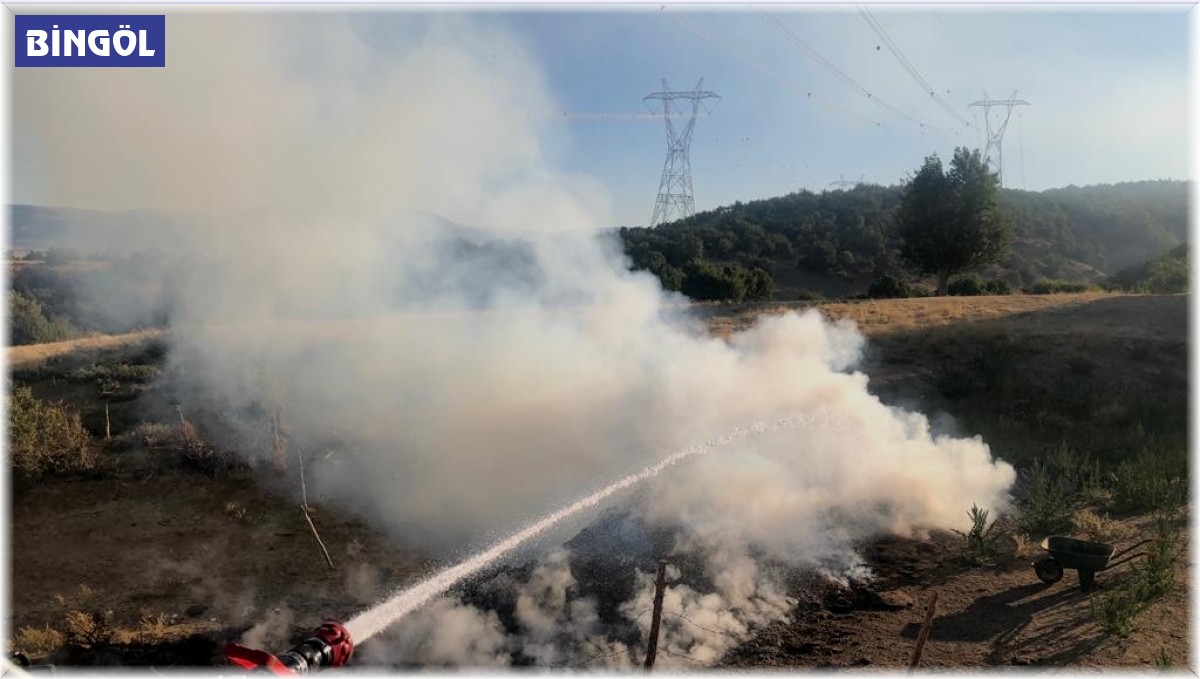 Genç ilçesindeki yangın, ormana sıçramadan söndürdü