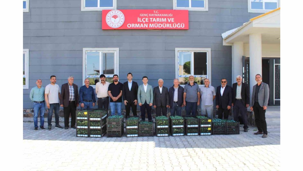 Genç'te üreticilere sebze fidesi dağıtıldı