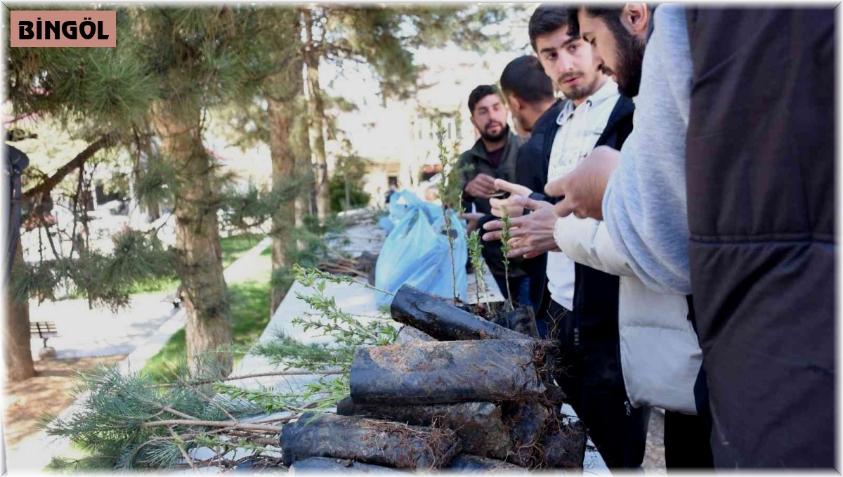 Genç'te vatandaşlara fidan dağıtıldı