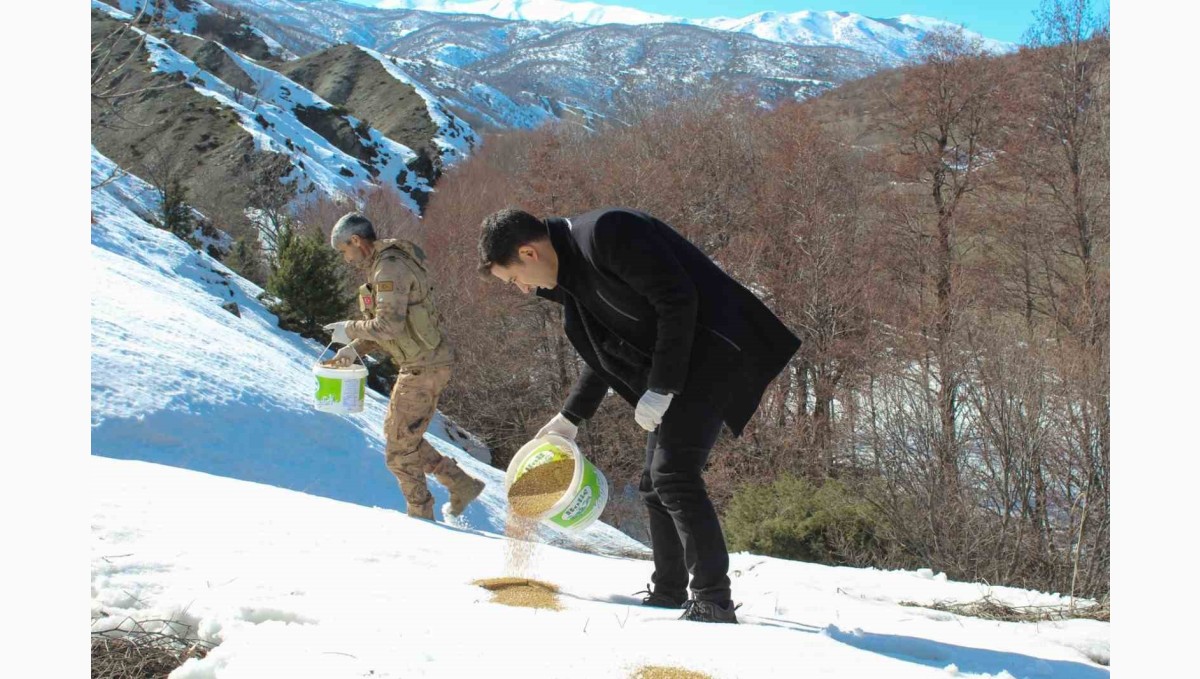 Genç'te yaban hayatı unutulmadı