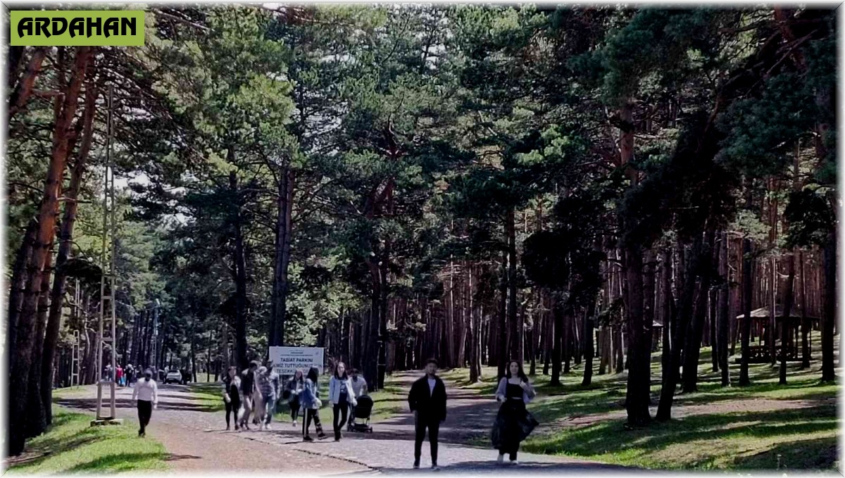 Gençler orman temizledi