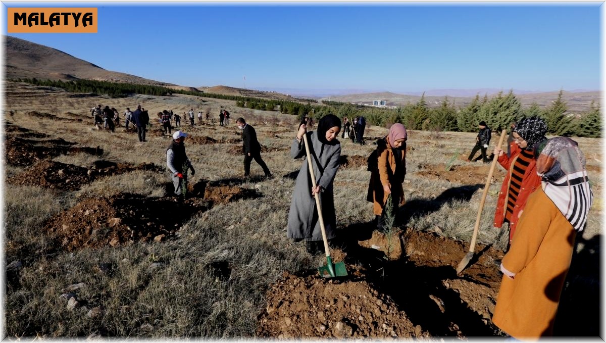 Gençler yeşillendirmeye destek