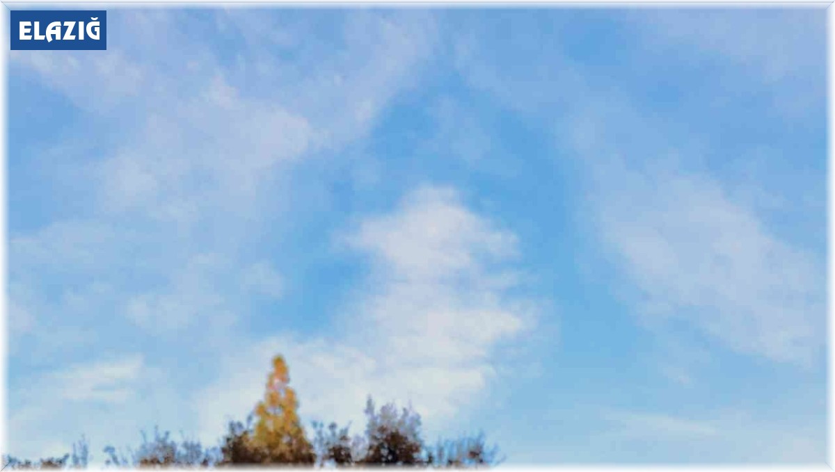 Gençlik ve Değişim Derneği, Viyana'daki 'Gençlik Kentleşme İçin Eylemde' programına katıldı