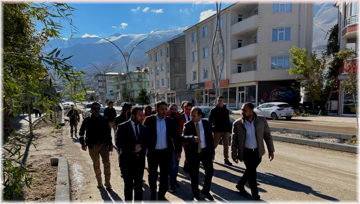 Genel Sekreter Çelikel, Gevaş ilçesindeki cadde çalışmalarını inceledi