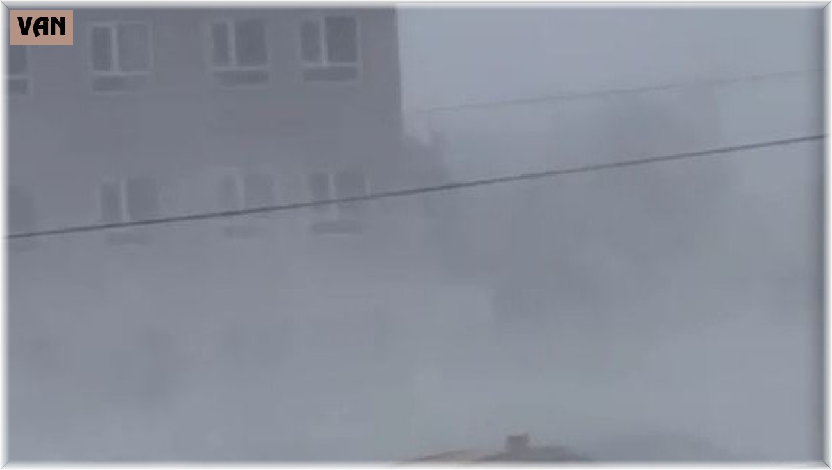 Gevaş'ta fırtına hayatı olumsuz etkiledi