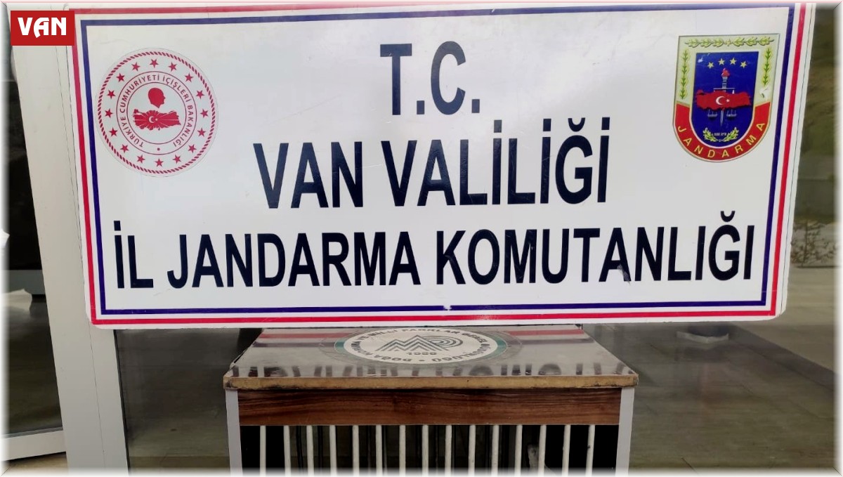 Gevaş'ta kafes avcılığı yapan 1 kişi jandarmaya takıldı
