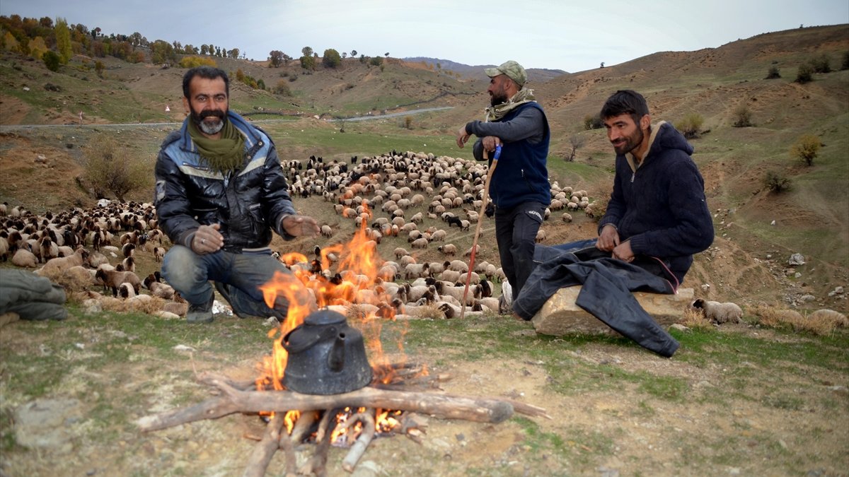 Göçerler havaların soğumasıyla memleketlerine dönüyor