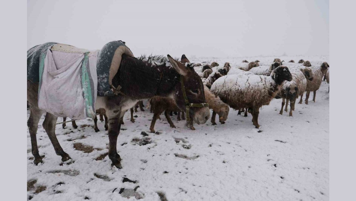 Göçerler kara yaylada yakalandı