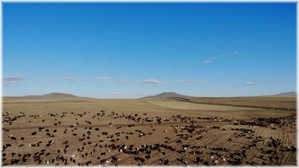 Göçerlerin aylar süren zorlu dönüş yolculuğu başladı