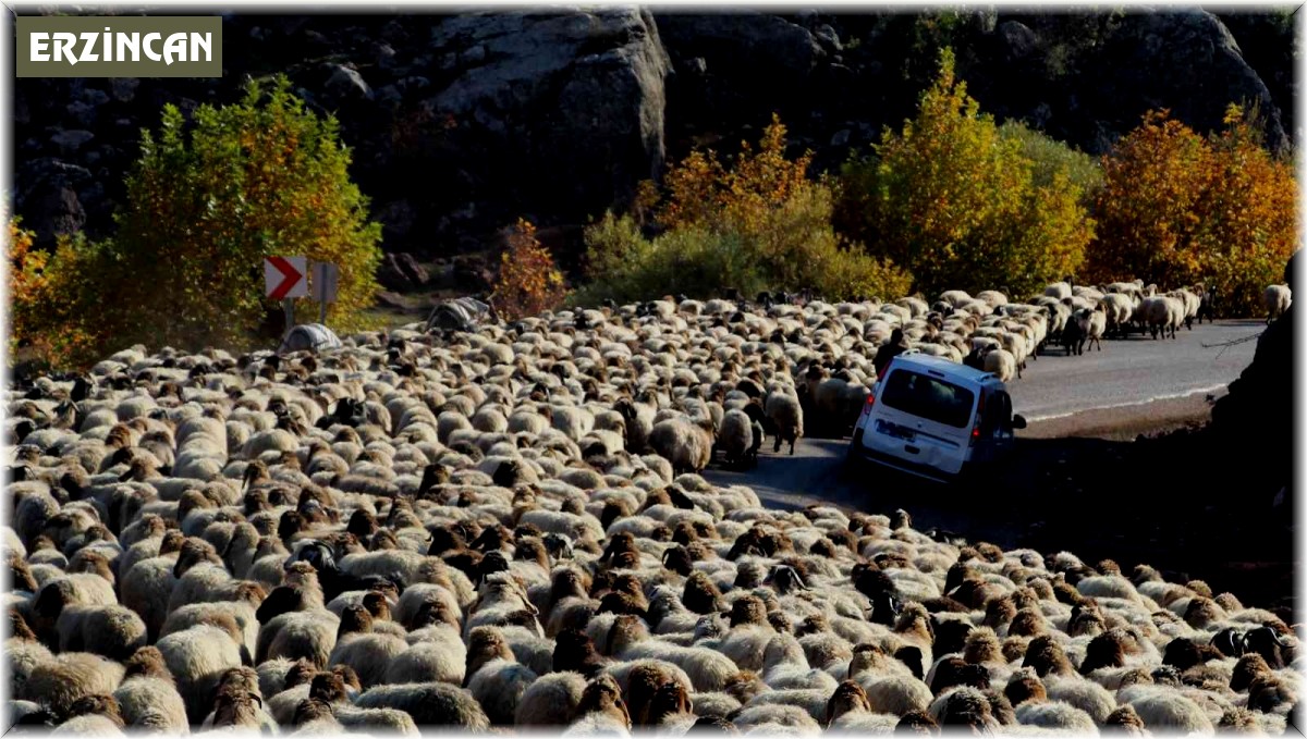 Göçerlerin dönüş yolculuğu