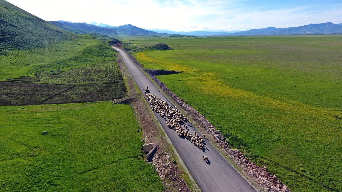 Göçerlerin renkli yolculuğu