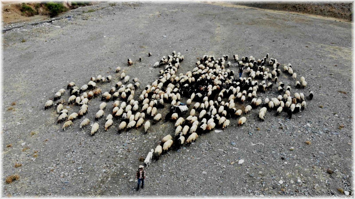 Göçerlerin zorlu geri dönüş yolculuğu başladı