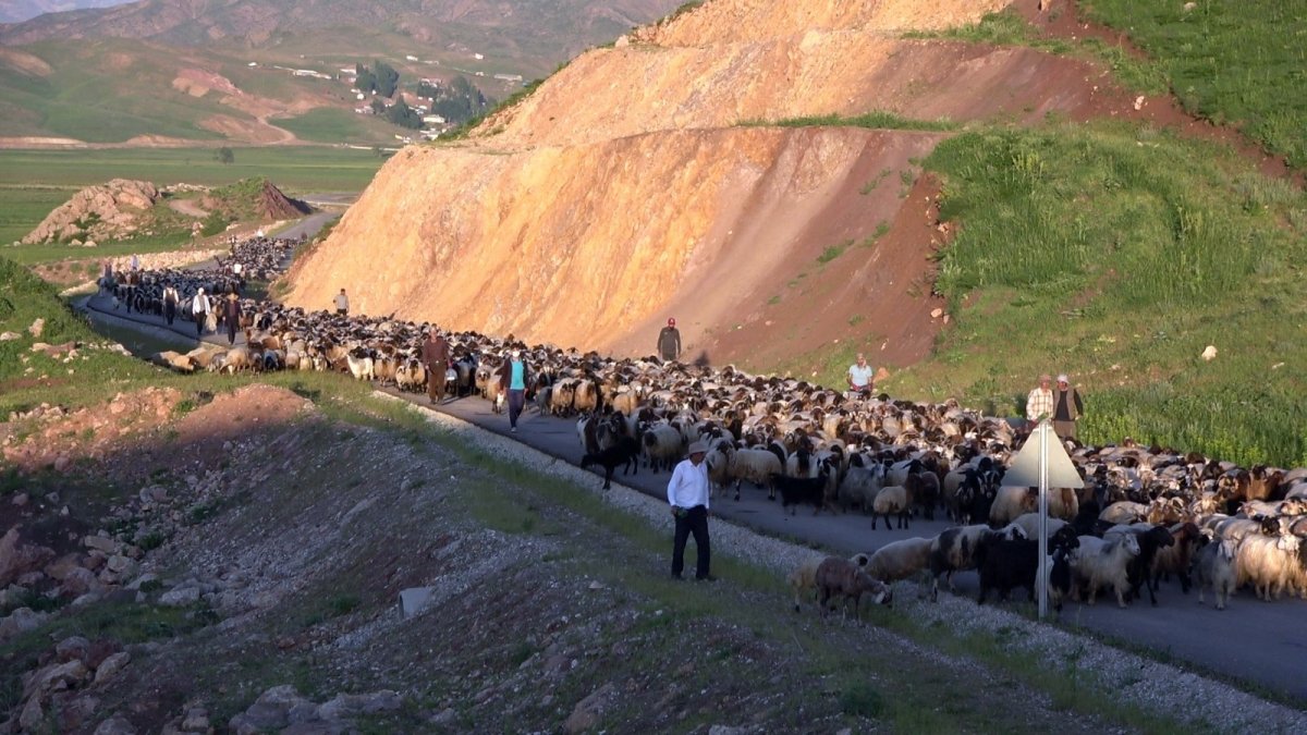 Göçerlerin zorlu göçü havadan görüntülendi