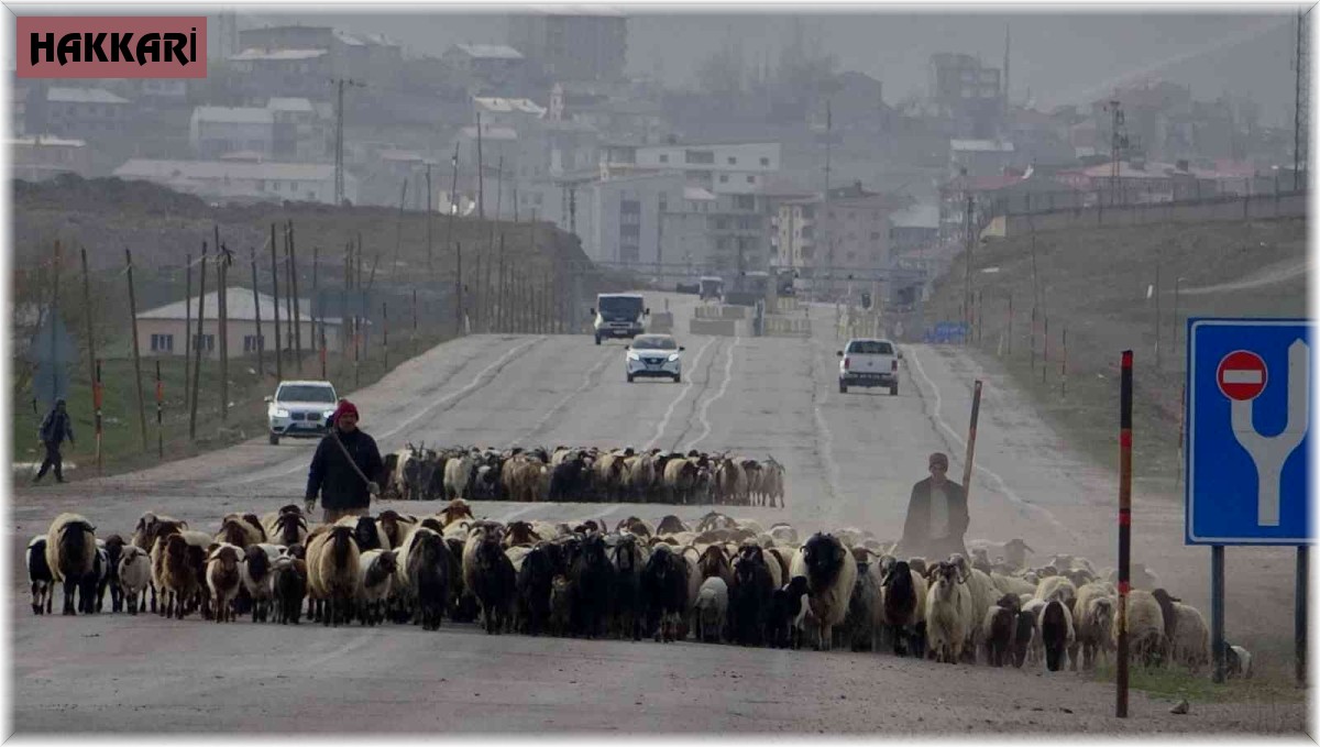 Göçerlerin zorlu yolculuğu başladı