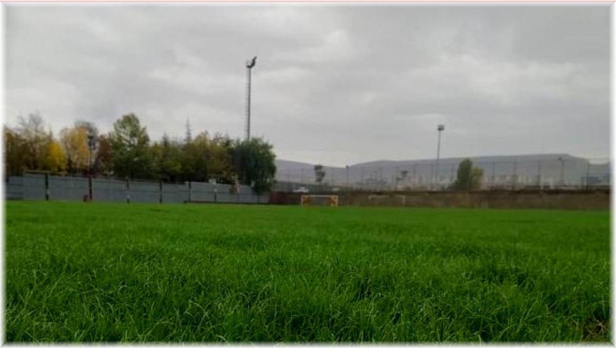 Gökmen Yıldıran antrenman sahası çimlendirildi