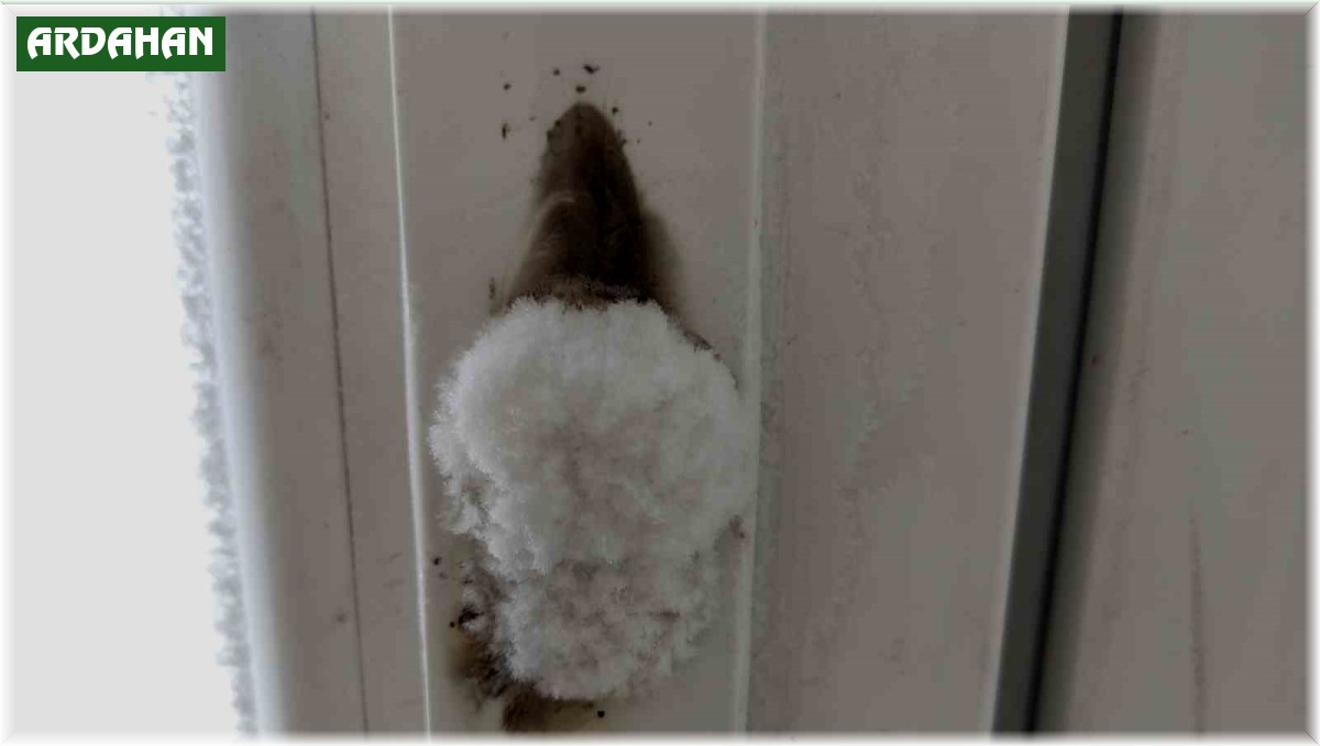 Göle'de dondurucu soğuklar hüküm sürüyor, kapı kilitleri bile buz tuttu