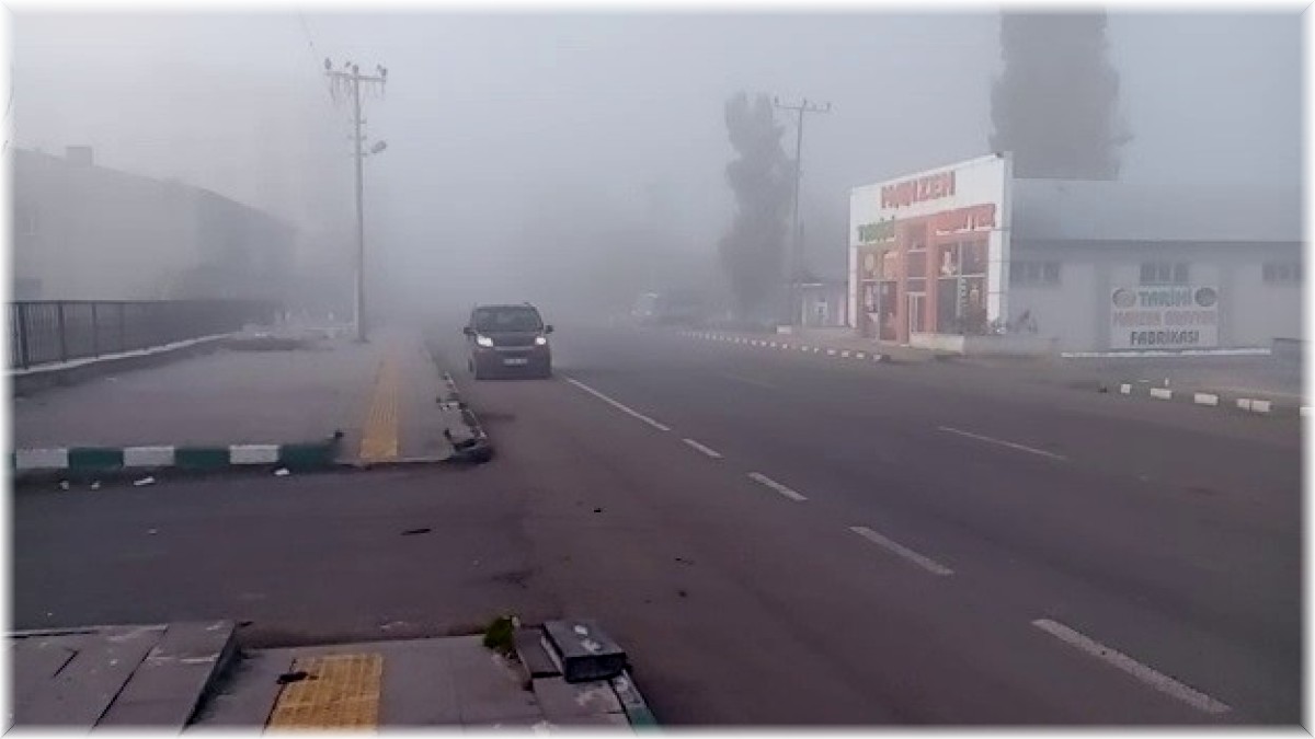 Göle'de etkili olan yoğun sis trafiği olumsuz yönde etkiliyor