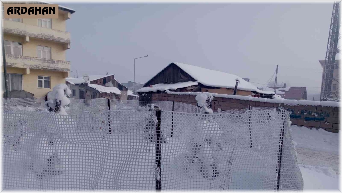 Göle'de soğuk hava hayatı olumsuz etkiledi