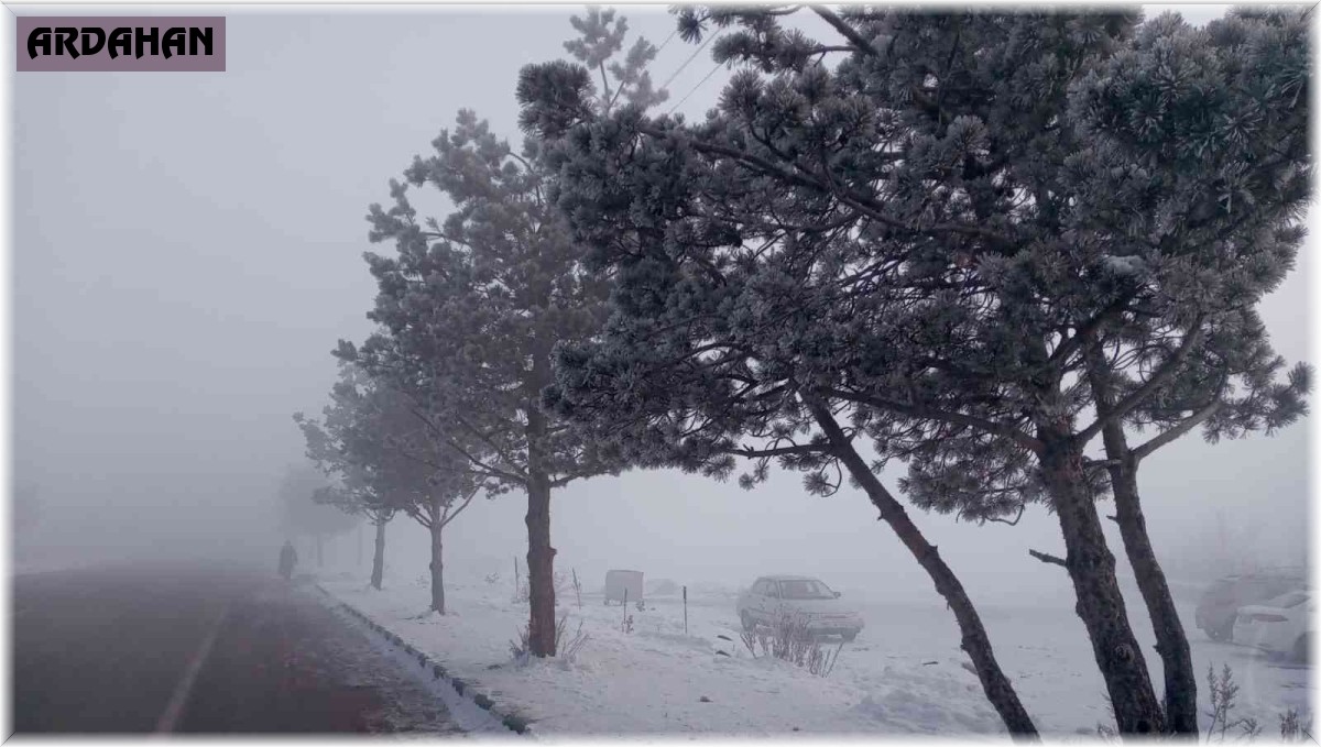 Göle'de soğuk hava ve sis etkili oluyor