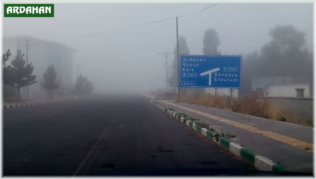 Göle'de yoğun sis sürücülere zor anlar yaşattı