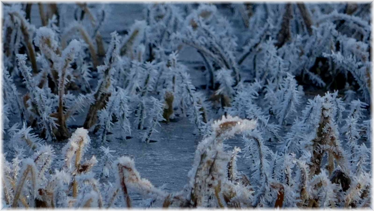 Göle eksi 10'u gördü