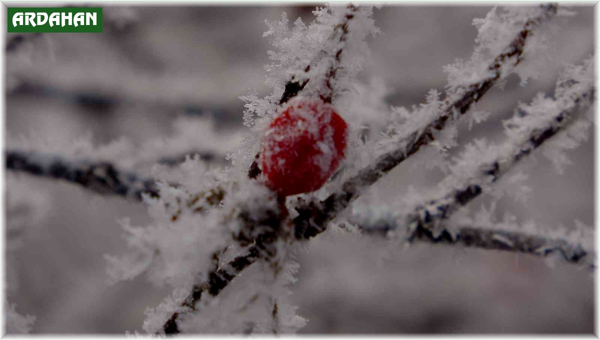 Göle eksi 22,4 derece ile dondu