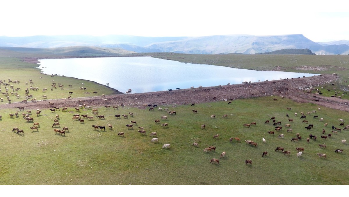 Gölet yapımında Türkiye'ye örnek olan şehir: Erzurum