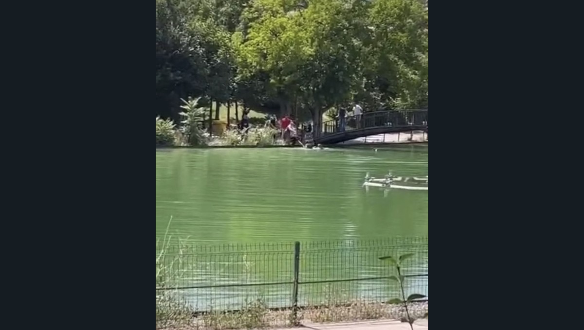 Göletli Park'ta korku dolu anlar: Suya düşen çocuk vatandaşlar tarafından kurtarıldı