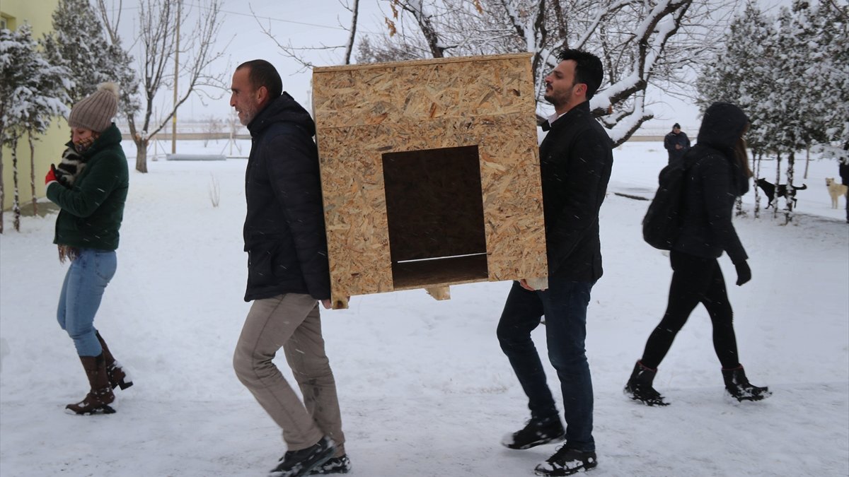 Gönüllü gençler oluşturdukları atölyede sokak hayvanları için kulübe üretiyor
