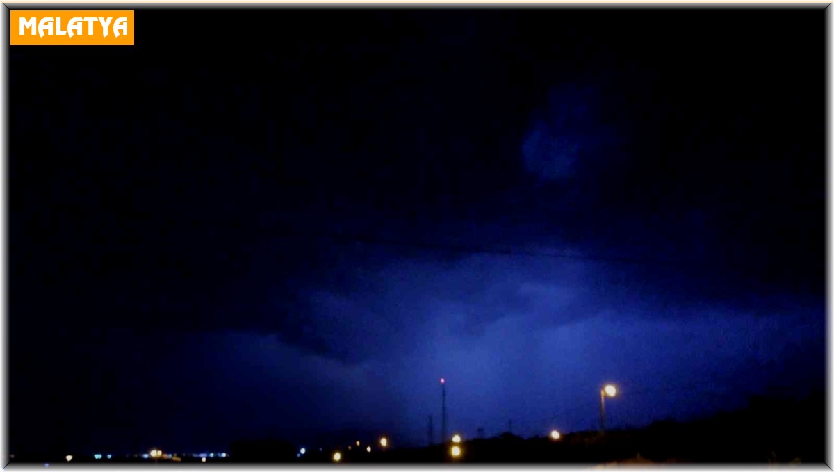 Gören telefonuna sarıldı, ilginç görüntüler oluştu