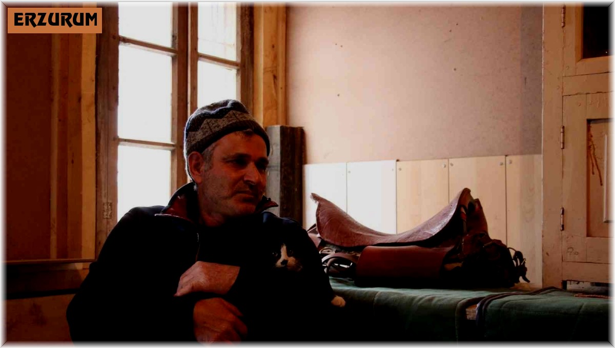 Göz bebeği yeşil kedi dikkat çekiyor