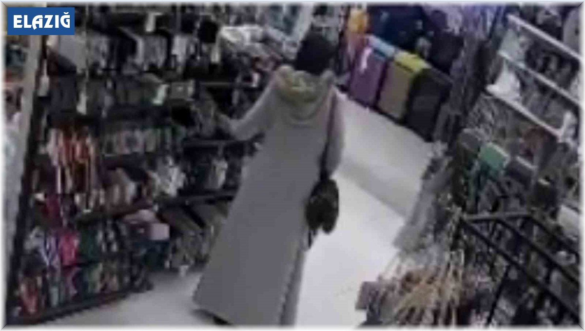 Gözüne kestirdiği çantaları çalıp kaçtı