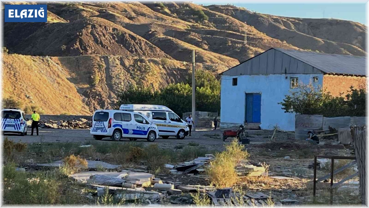 Gözünü taşla yaralayan adamı tüfekle vurdu