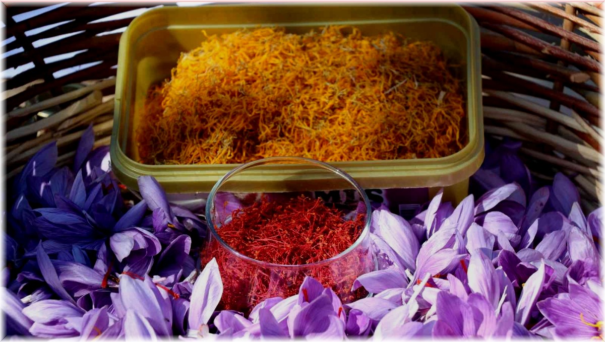 Gramla satılıyor, kilogram fiyatı dudak uçuklatıyor