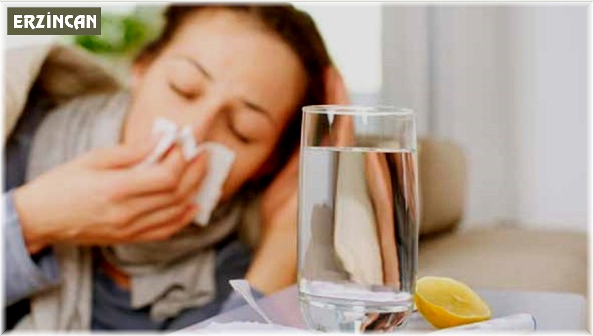 Gribe kalkan gıdalar