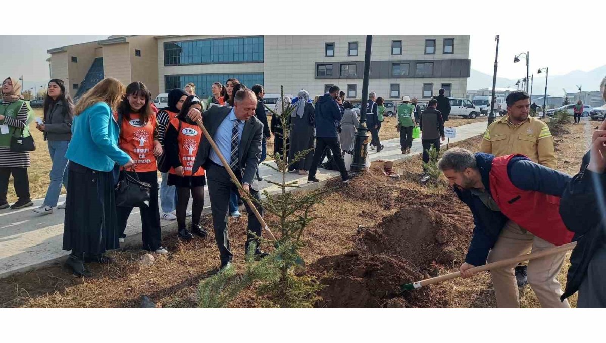 GSİM spor kampüslerine meyve ağacı dikti