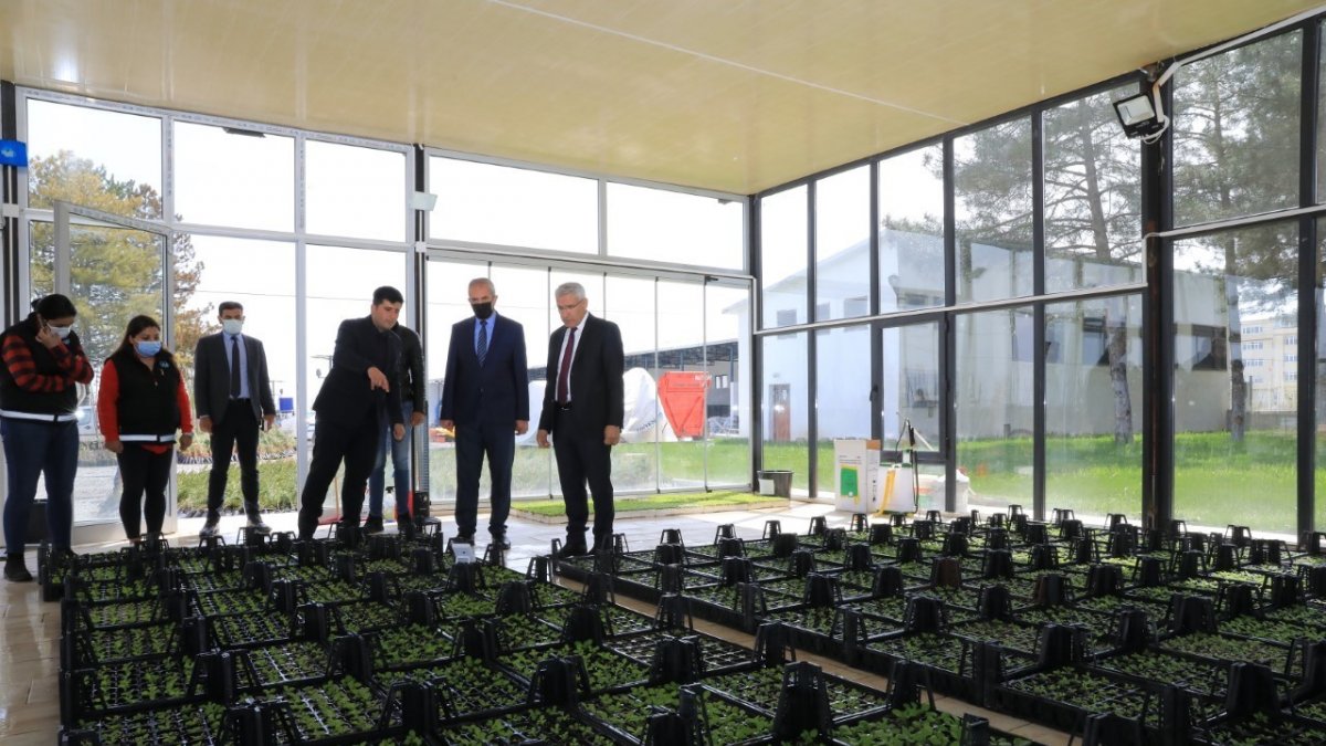 Güder, özel sera alanında incelemelerde bulundu