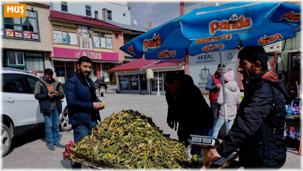 Gülbahar bitkisi tezgâhlarda yerini aldı