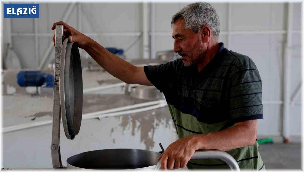 Günlük 40 ton süt toplanan merkez, bin 200 aileye ekmek kapısı oldu