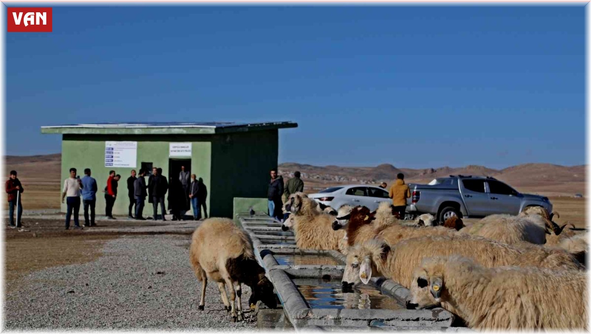 Günyüzü Yaylası'nın su ihtiyacı güneş panelleriyle sağlanıyor