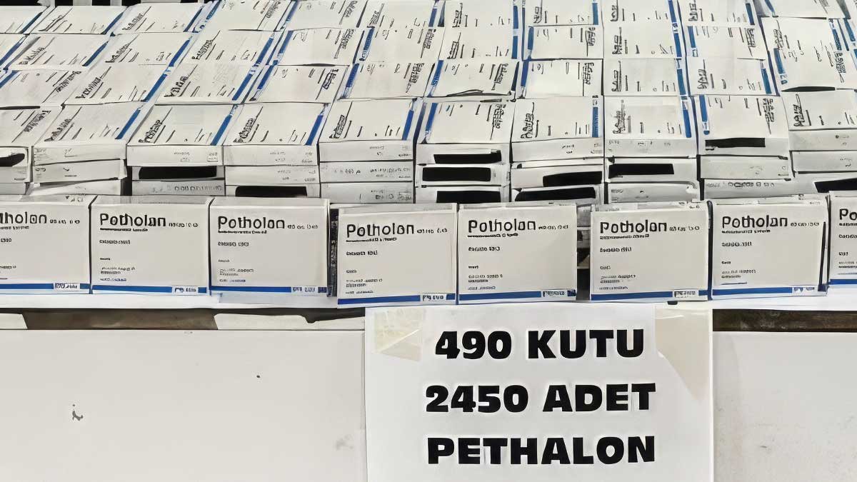 Gürbulak Sınır Kapısı'nda 2 Bin 450 Sentetik Ecza Hap Ele Geçirildi