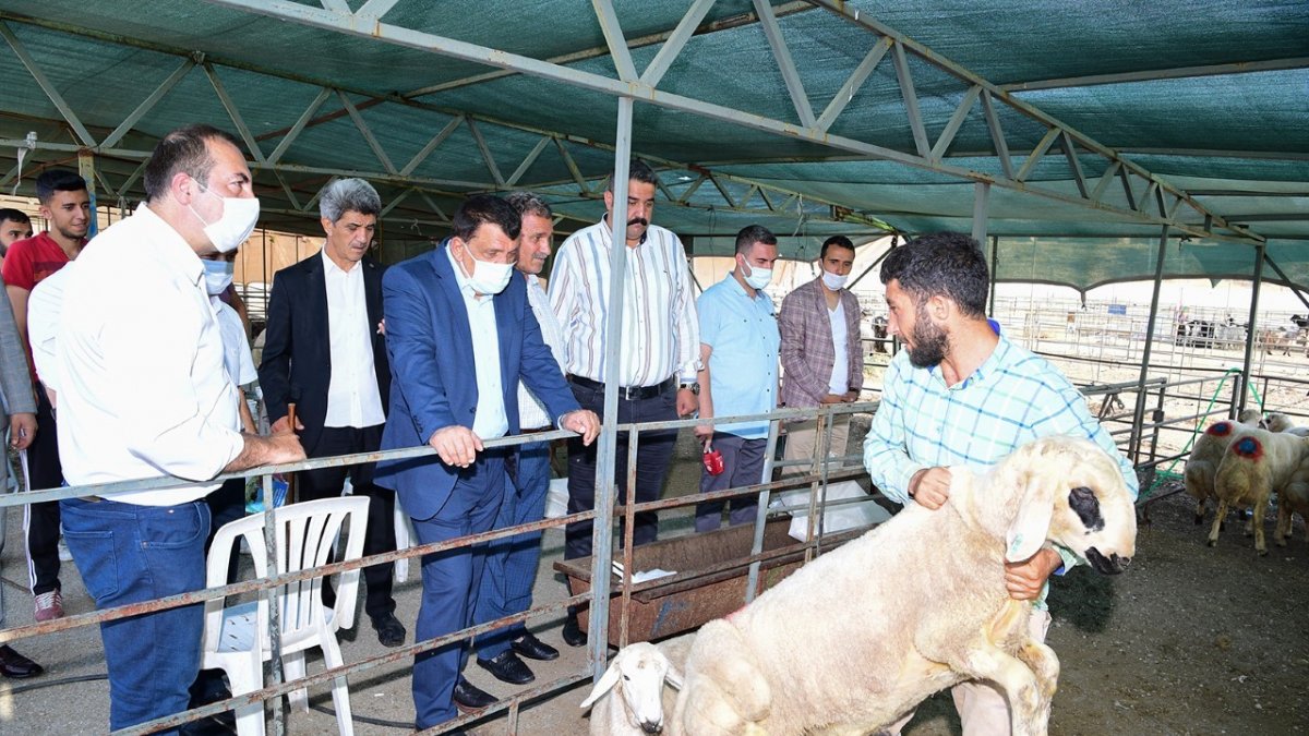 Gürkan, canlı hayvan pazarında inlemelerde bulundu