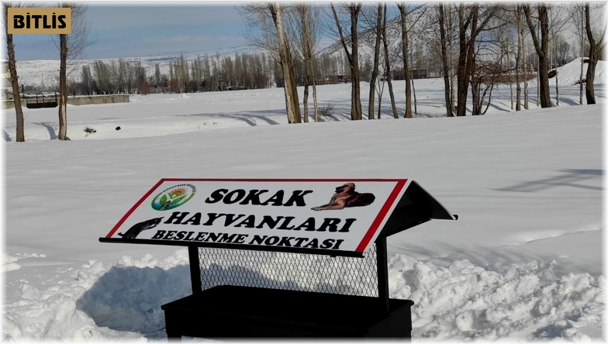 Güroymak Belediyesi sokak hayvanlarına sahip çıktı