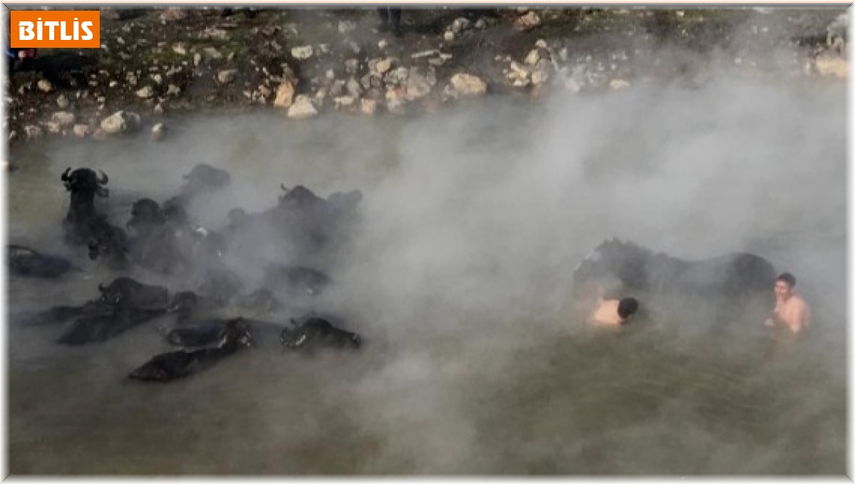 Güroymak'ta çekilen "Madak" belgeseline büyük ilgi