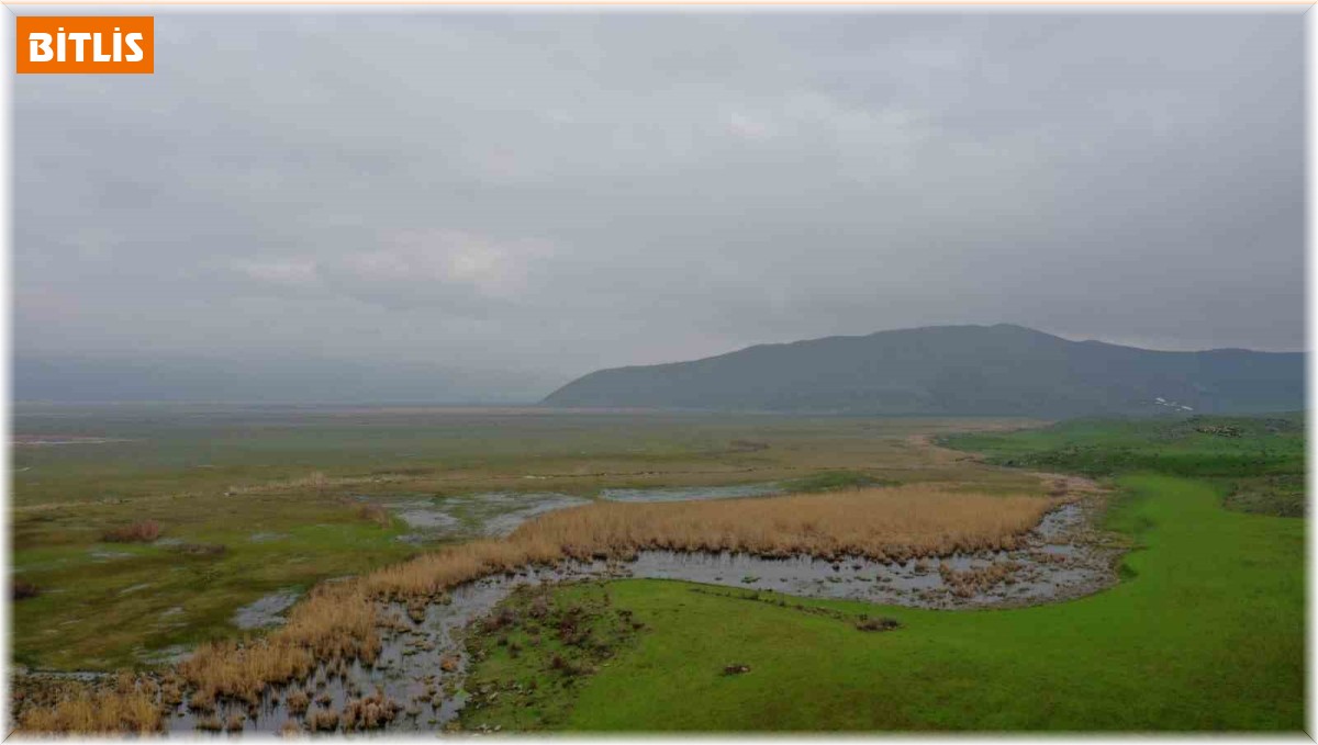 Güroymak'ta kaçak avcılığa drone ile denetim