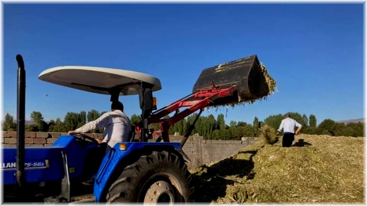 Güroymak'ta silajlık mısır hasadı devam ediyor