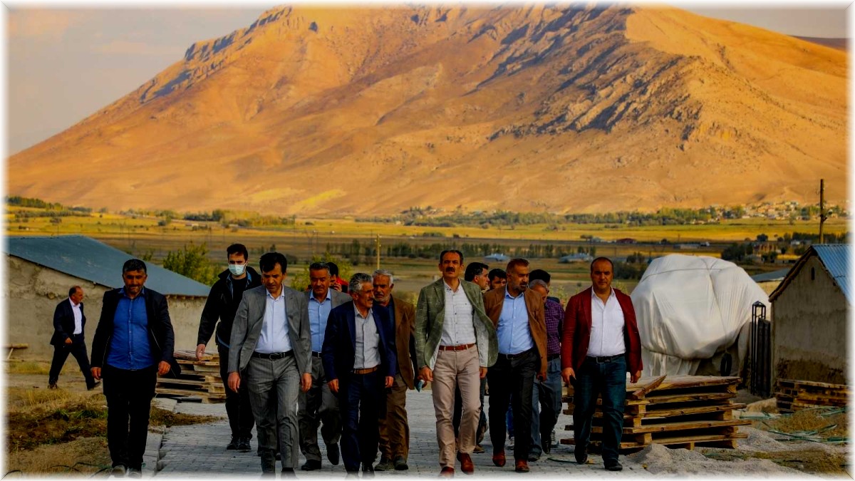 Gürpınar Belediyesinden 1 milyon metrekare parke taşı çalışması