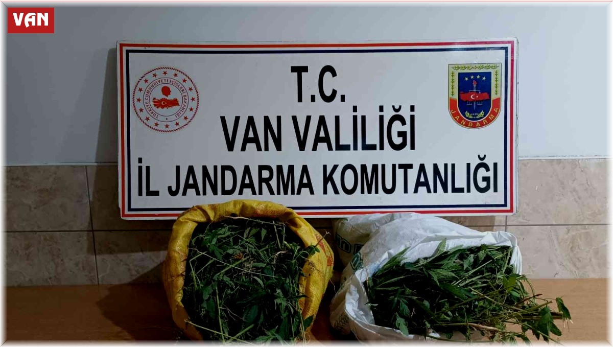 Gürpınar'da 17 kilo 400 gram kubar esrar ele geçirildi