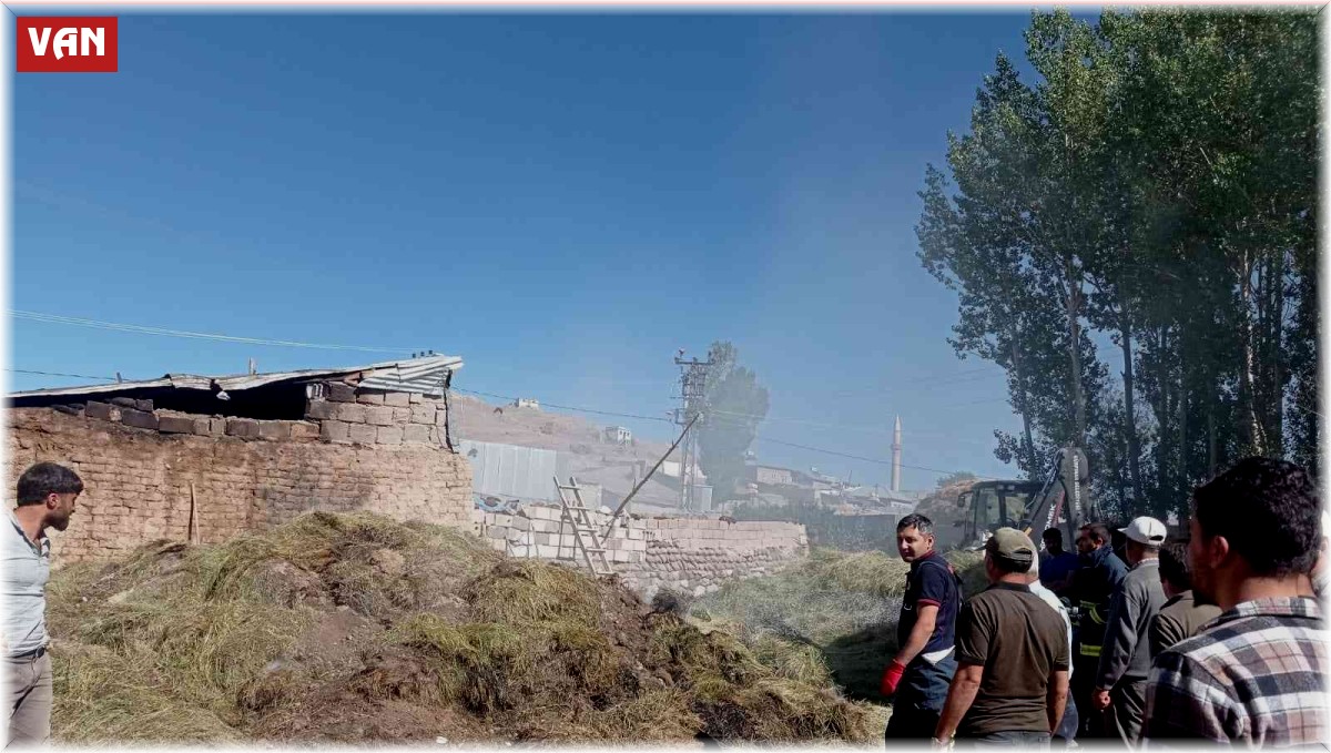 Gürpınar'da 700 bağ ot yandı