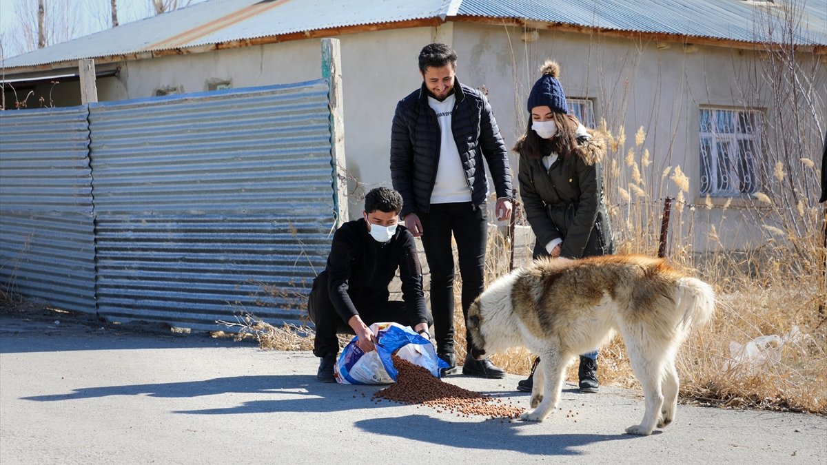 Gürpınar'da sokak hayvanlarına yem bırakıldı